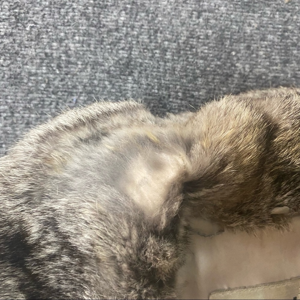 Real Rabbit Fur Coat - Picture 7 of 8